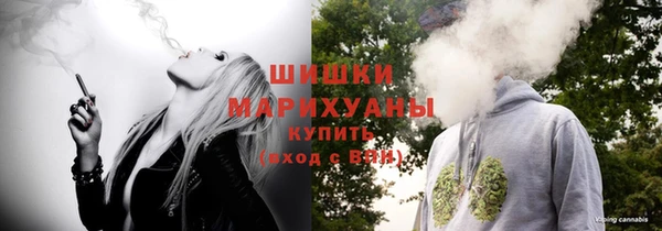 хмурый Липки