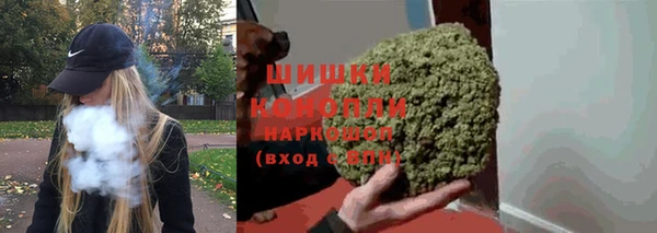 хмурый Липки