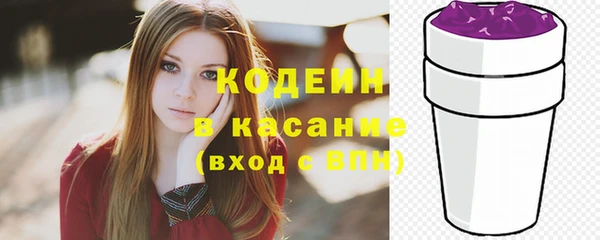 крисы Лабытнанги