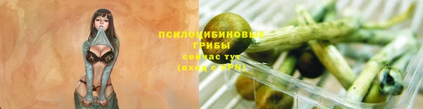 Альфа ПВП Ладушкин
