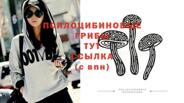 хмурый Липки