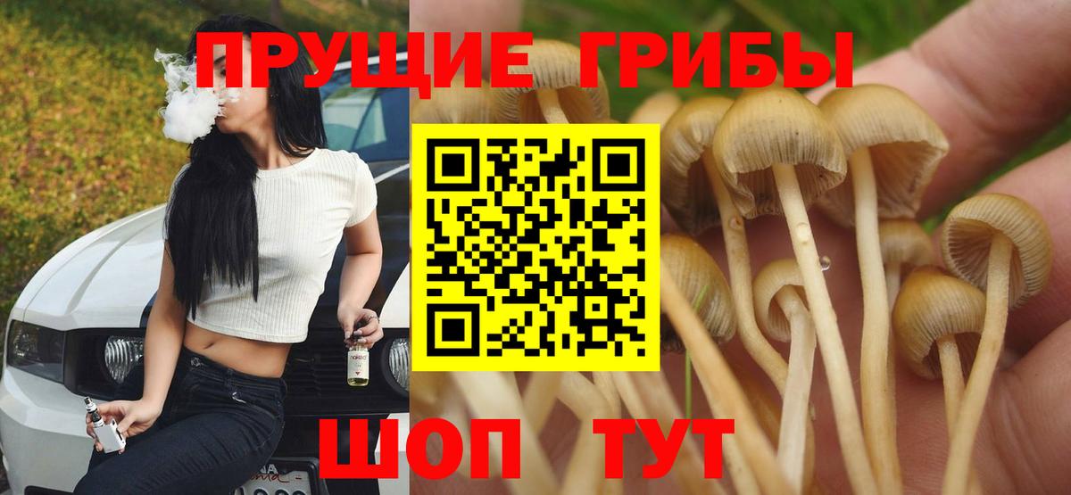 Галлюциногенные грибы GOLDEN TEACHER Партизанск