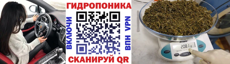 Каннабис планчик  Партизанск 